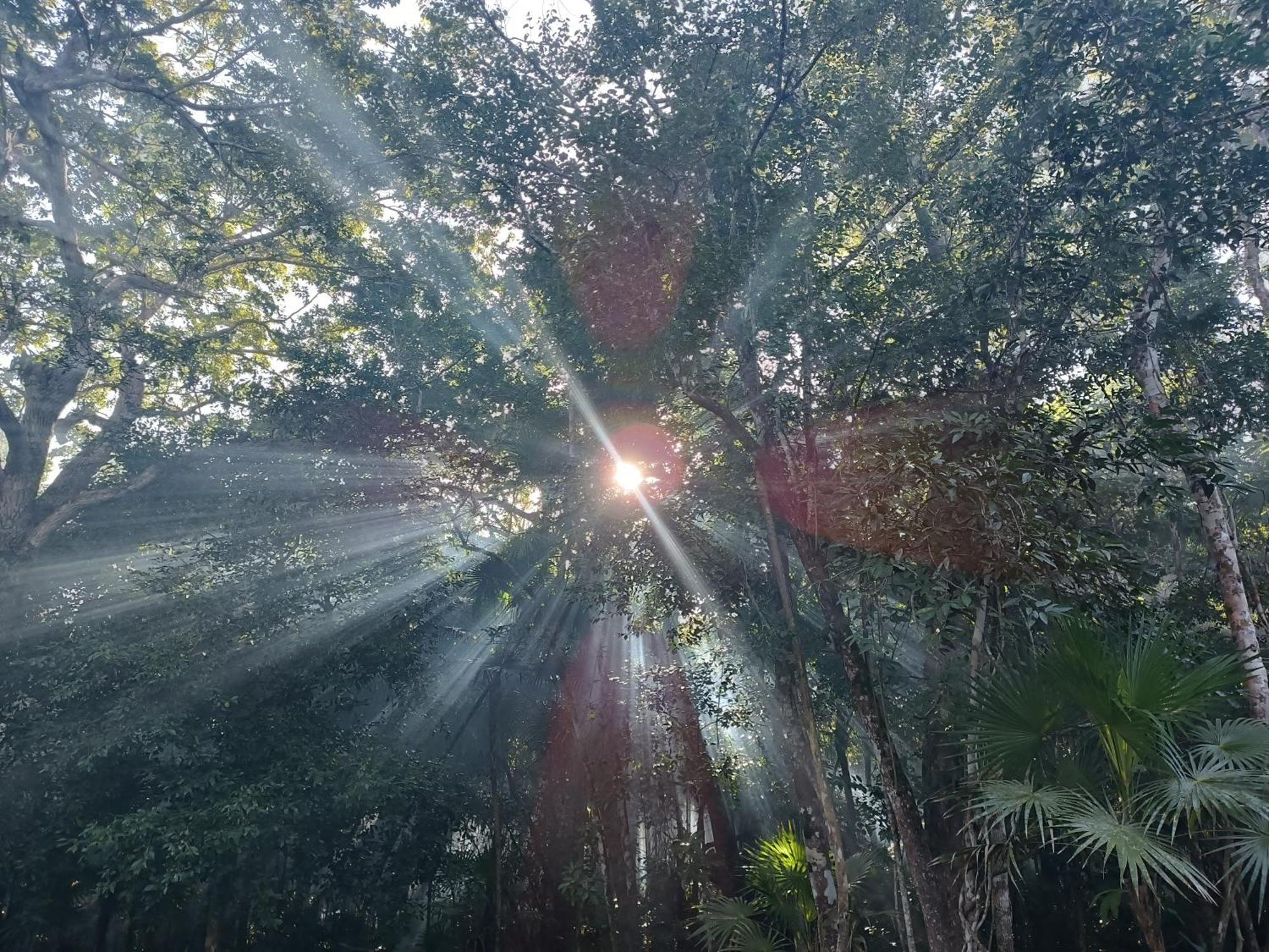 Cheel Lodge & Camping 莫雷洛斯港 外观 照片