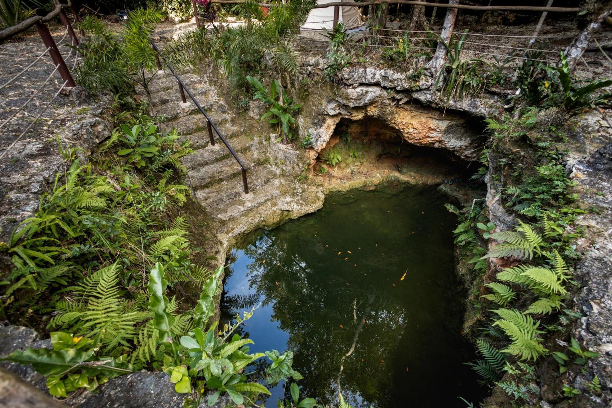 Cheel Lodge & Camping 莫雷洛斯港 外观 照片