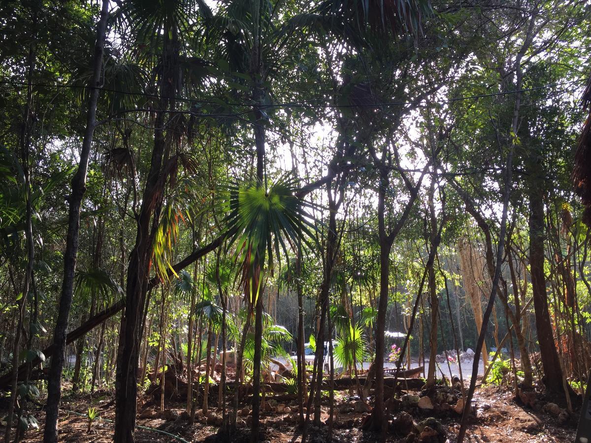 Cheel Lodge & Camping 莫雷洛斯港 外观 照片