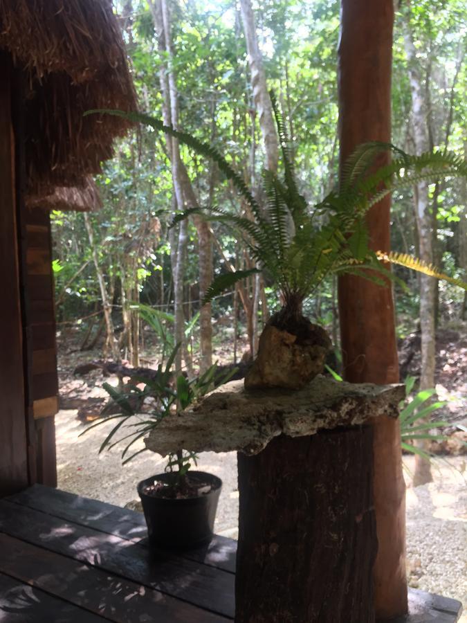 Cheel Lodge & Camping 莫雷洛斯港 外观 照片