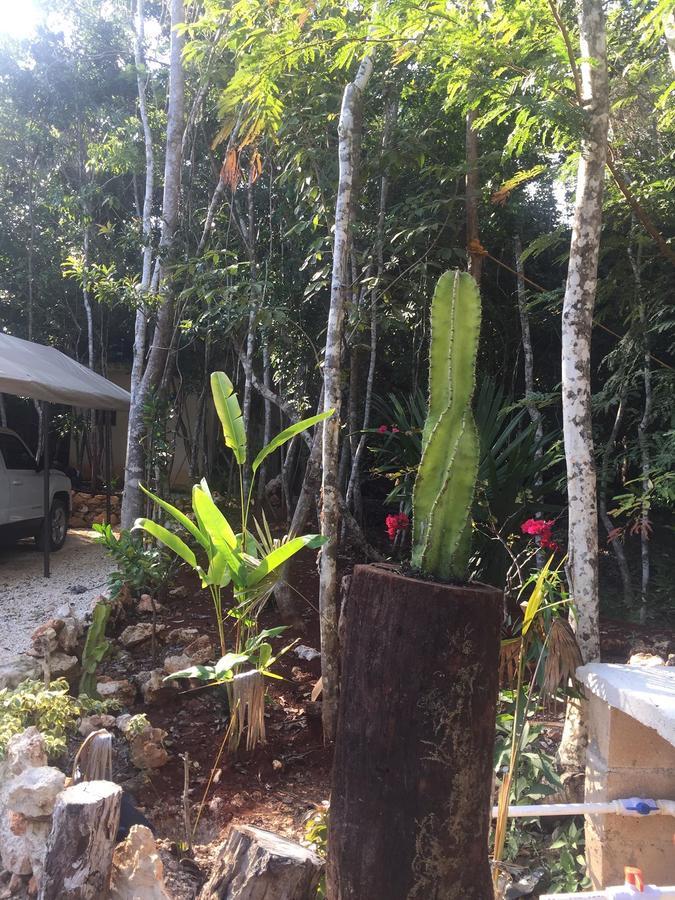 Cheel Lodge & Camping 莫雷洛斯港 外观 照片