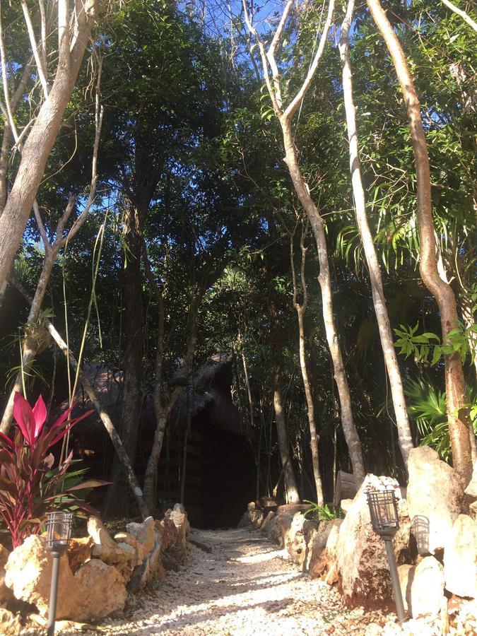 Cheel Lodge & Camping 莫雷洛斯港 外观 照片