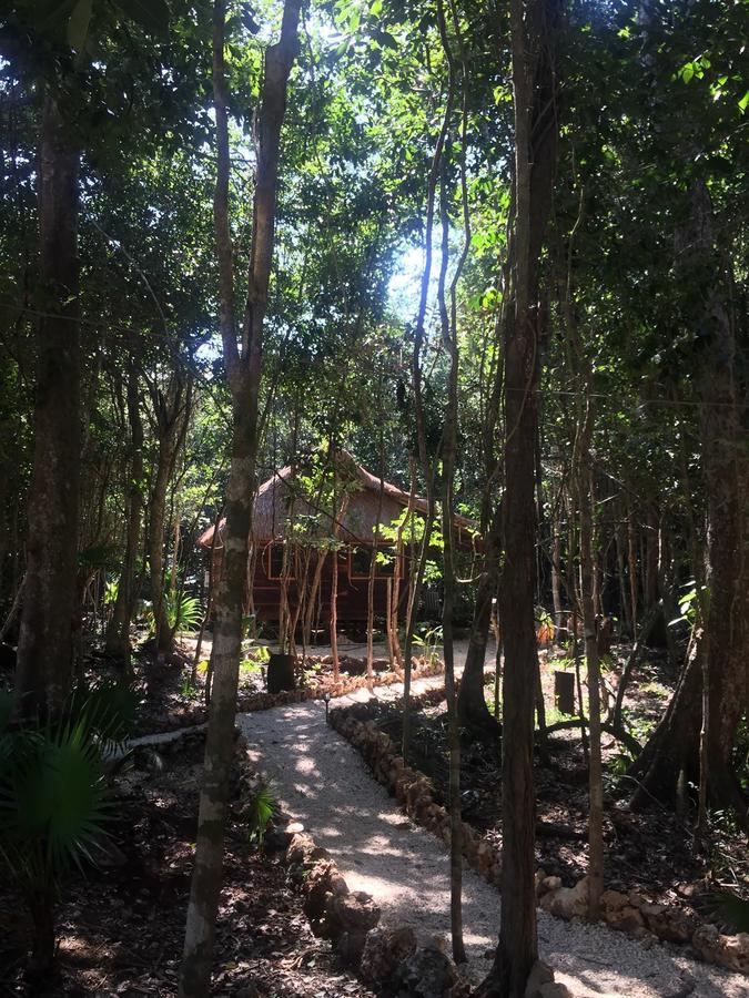 Cheel Lodge & Camping 莫雷洛斯港 外观 照片