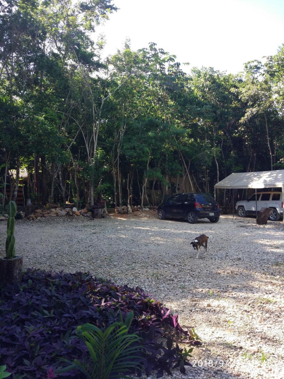 Cheel Lodge & Camping 莫雷洛斯港 外观 照片
